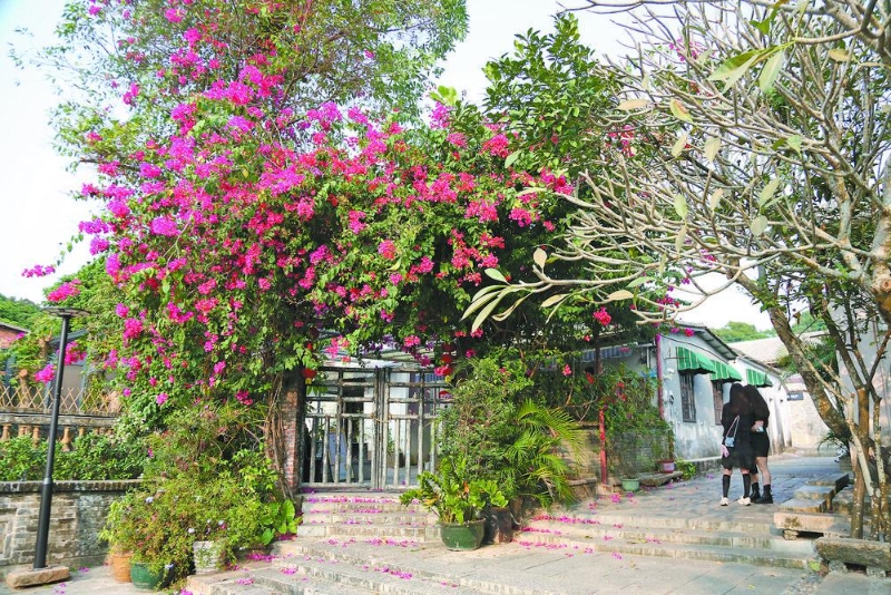 会同村成了旅游胜地。 会同村成了旅游胜地。