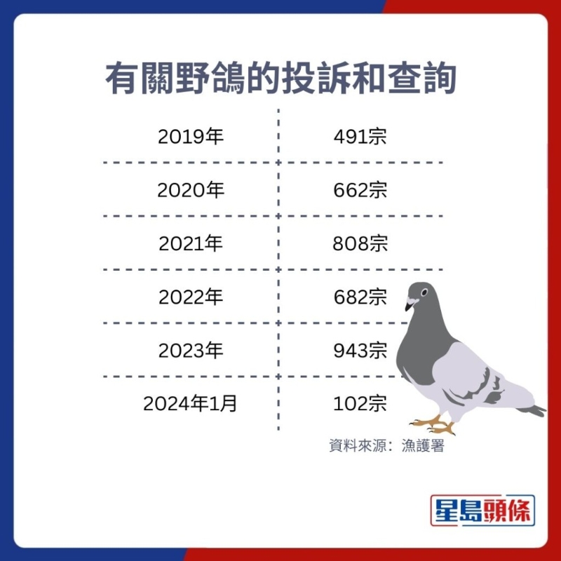 港府早年选定3个野鸽聚集重灾区，展开为期2年野鸽避孕药试验计划
