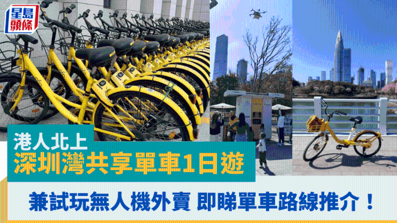 港人北上深圳湾共享单车1日游 港人北上深圳湾共享单车1日游
