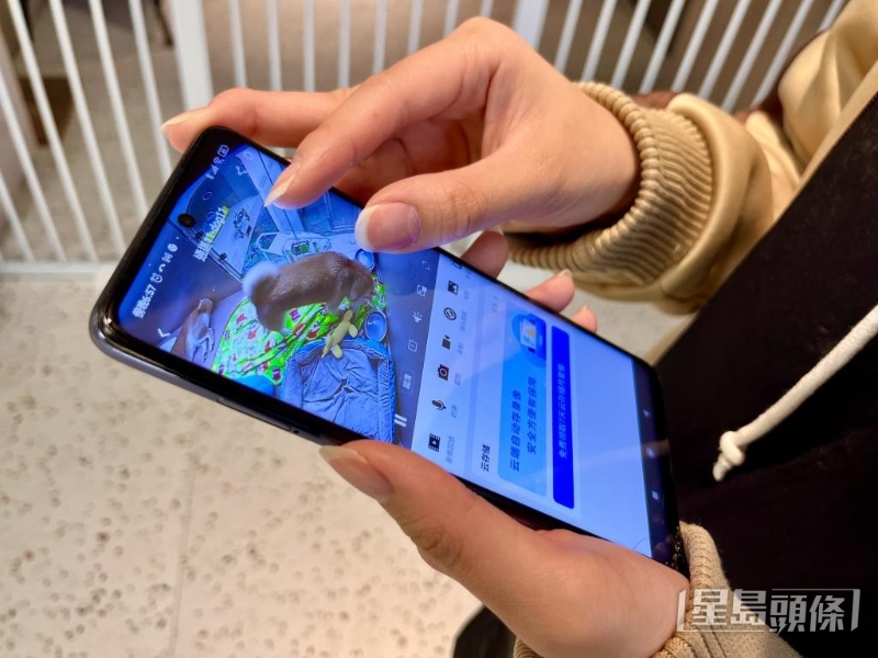 主人查看爱宠情况
