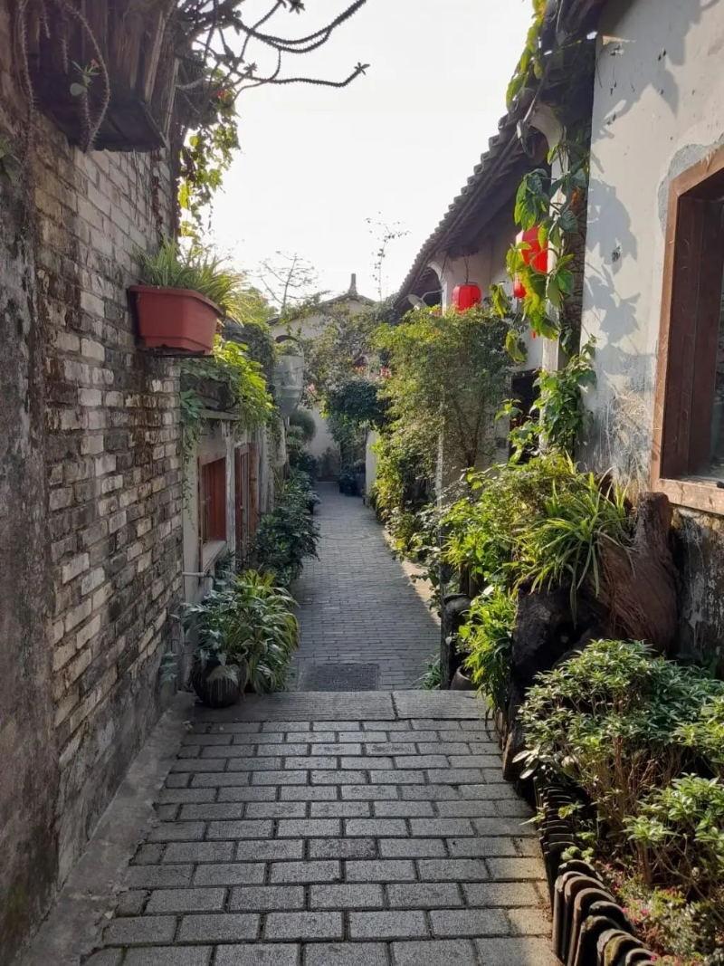 绿意盎然 绿意盎然