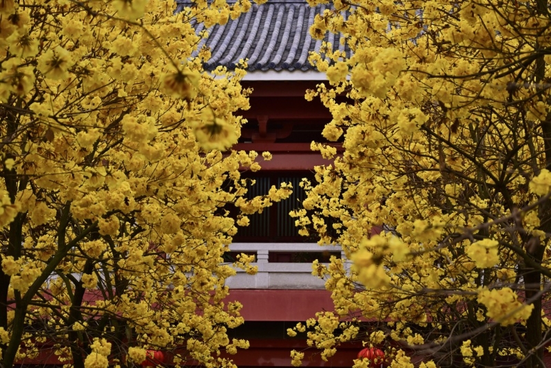 光孝寺 光孝寺