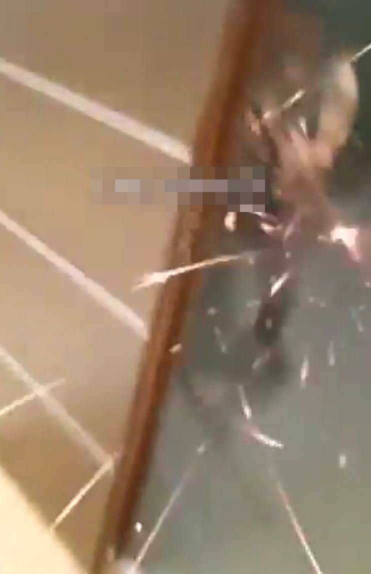 枪手在房内扫射 枪手在房内扫射