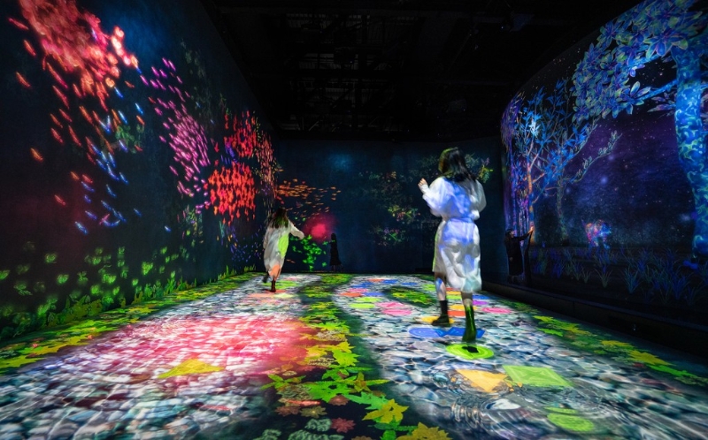 澳门 teamLab 超自然空间 澳门 teamLab 超自然空间