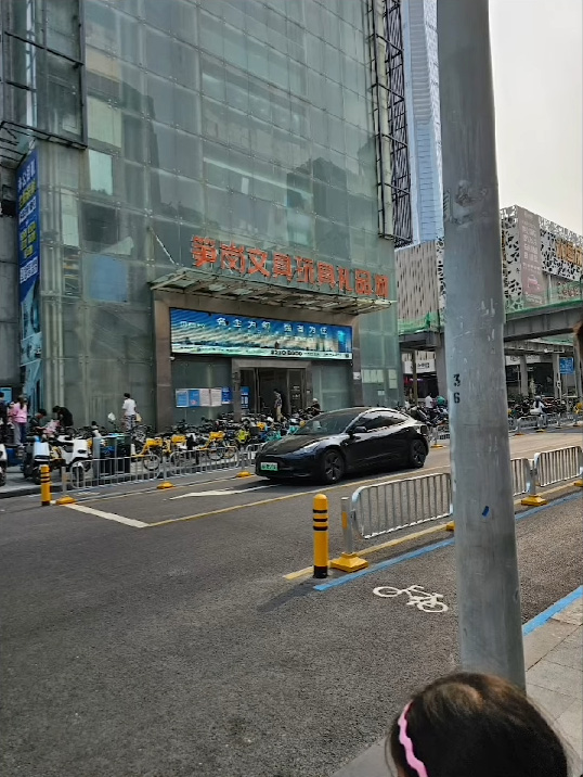 李漫芬经罗湖北上纪录恐怖人潮7 李漫芬经罗湖北上纪录恐怖人潮7
