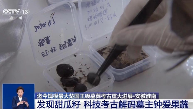 楚国武王墩墓果蔬清单大公开 楚国武王墩墓果蔬清单大公开