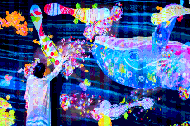 深圳 teamLab 共创!未来园 深圳 teamLab 共创!未来园