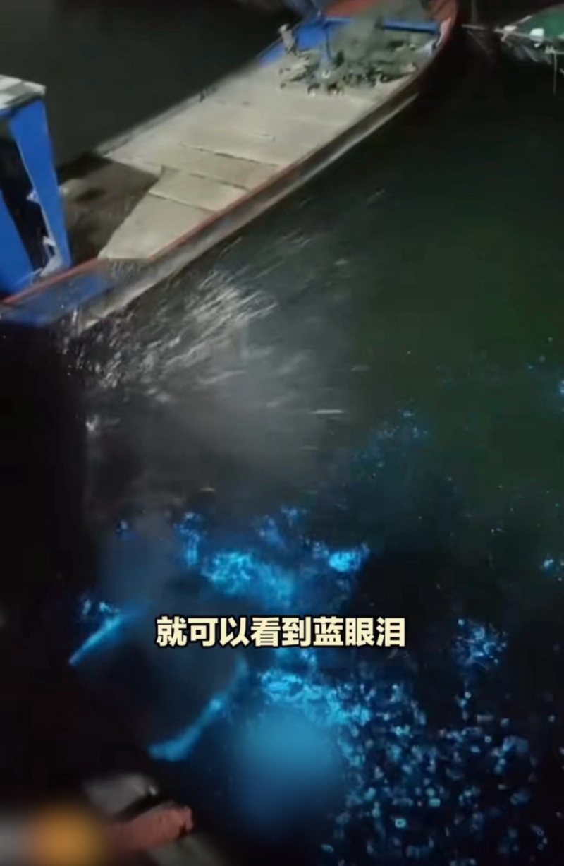 蓝色水花 蓝色水花