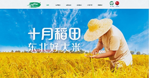 去年10月,十月稻田在港交所上市。 去年10月,十月稻田在港交所上市。