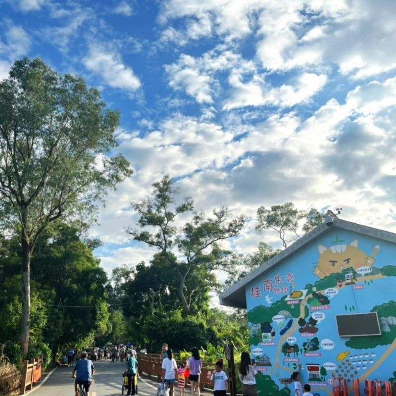 桂南村 桂南村
