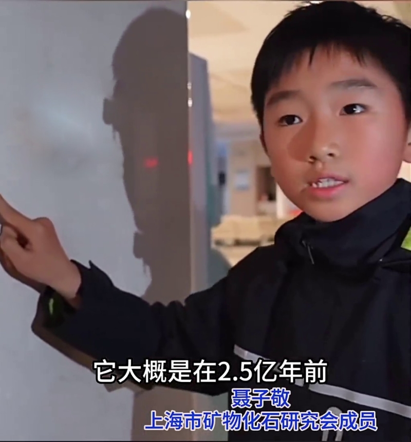 聂子敬虽是小学生,但已是上海市矿物化石研究会的一员,对化石有著深入的了解和热爱。看看新闻 聂子敬虽是小学生,但已是上海市矿物化石研究会的一员,对化石有著深入的了解和热爱。看看新闻
