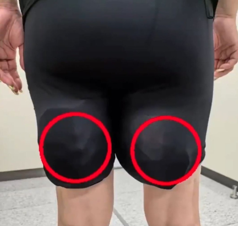 陆龟被藏在旅客的大腿背。 陆龟被藏在旅客的大腿背。