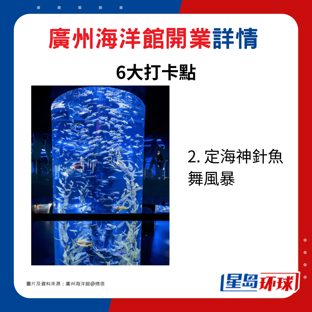 2. 定海神针鱼舞风暴 2. 定海神针鱼舞风暴