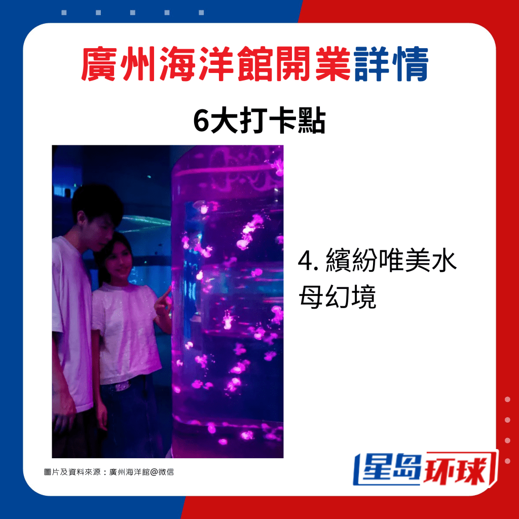 4. 缤纷唯美水母幻境 4. 缤纷唯美水母幻境