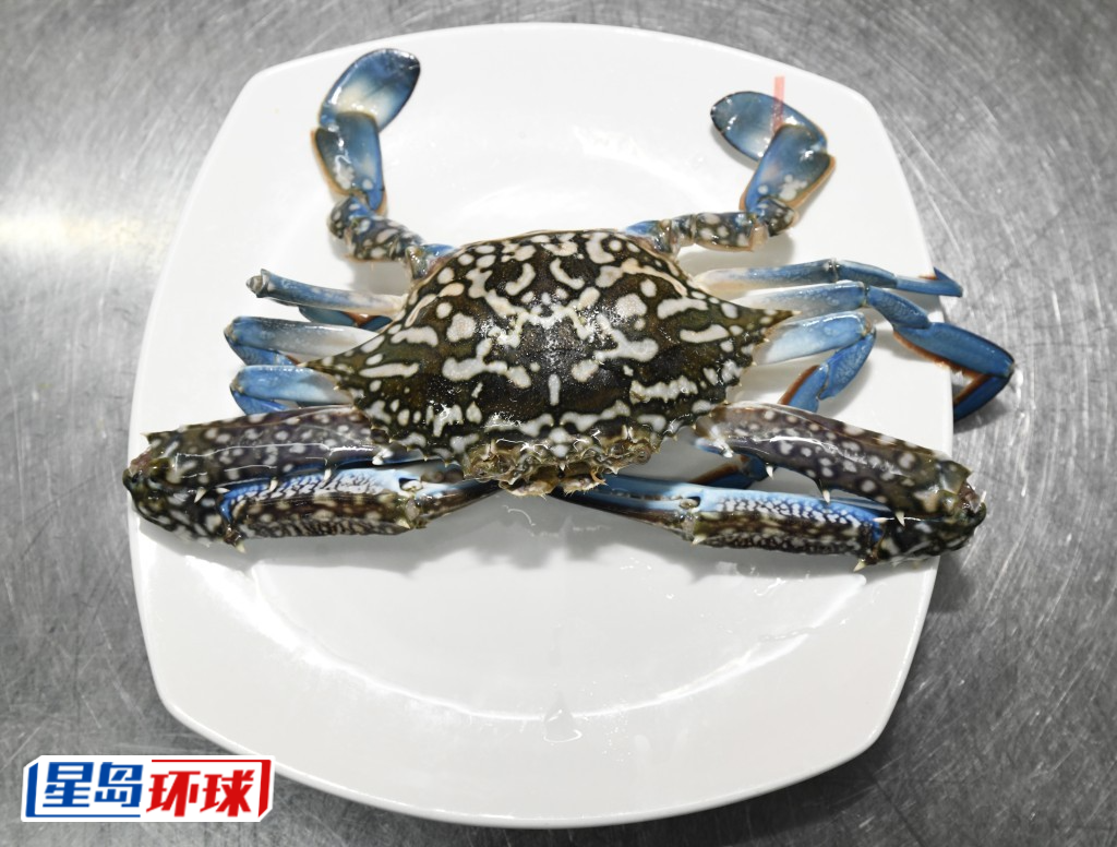 选用蓝花蟹烹调 选用蓝花蟹烹调