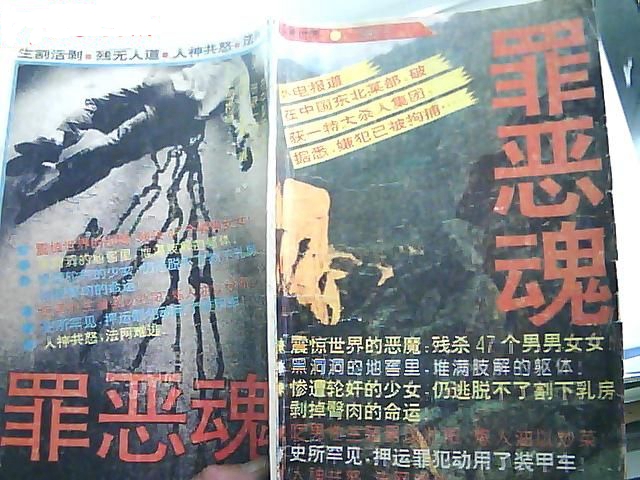 以贾文革案为原型的文学作品。 以贾文革案为原型的文学作品。