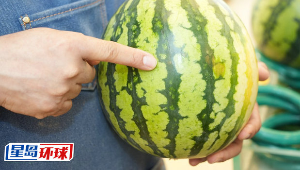 西瓜 西瓜