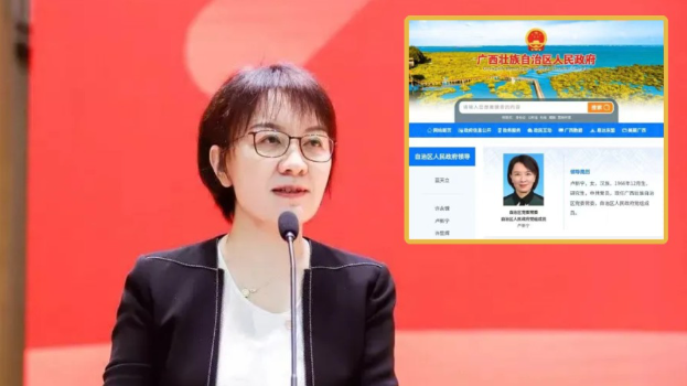 原中联办副主任卢新宁将担任广西自治区政府副主席。 原中联办副主任卢新宁将担任广西自治区政府副主席。