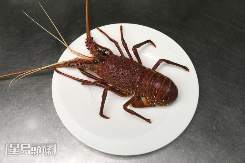 时令乳龙虾特别鲜甜。 时令乳龙虾特别鲜甜。