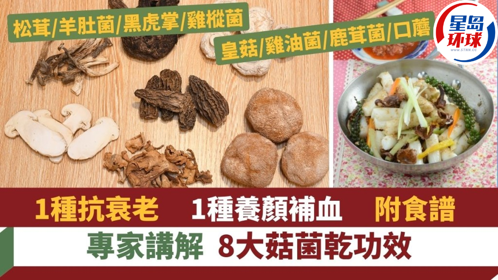 教选菇菌 教选菇菌