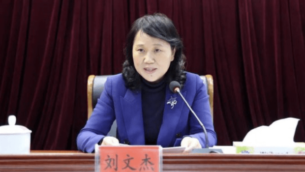 湖南省财政厅女厅长刘文杰 湖南省财政厅女厅长刘文杰