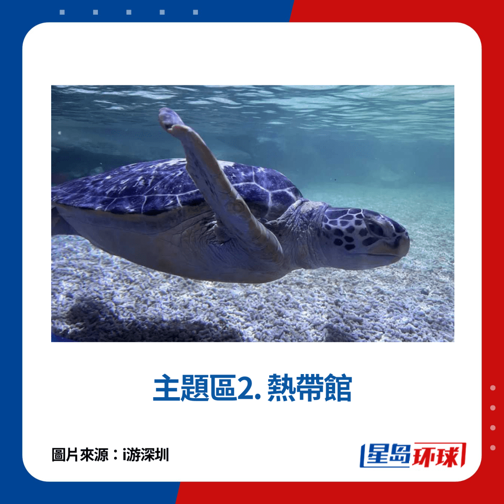 主题区2. 热带馆 主题区2. 热带馆