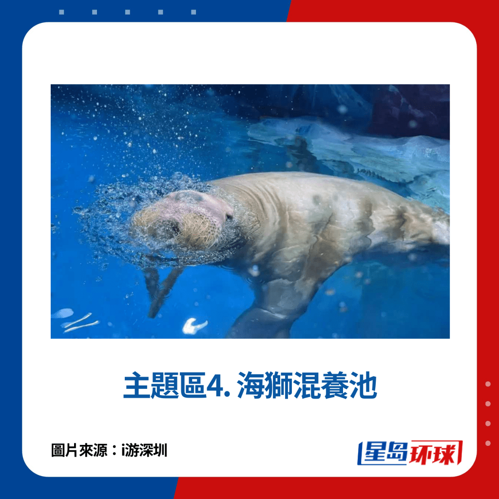 主题区4. 海狮混养池 主题区4. 海狮混养池