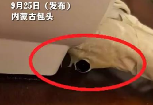 微信图片_20240927091013 微信图片_20240927091013