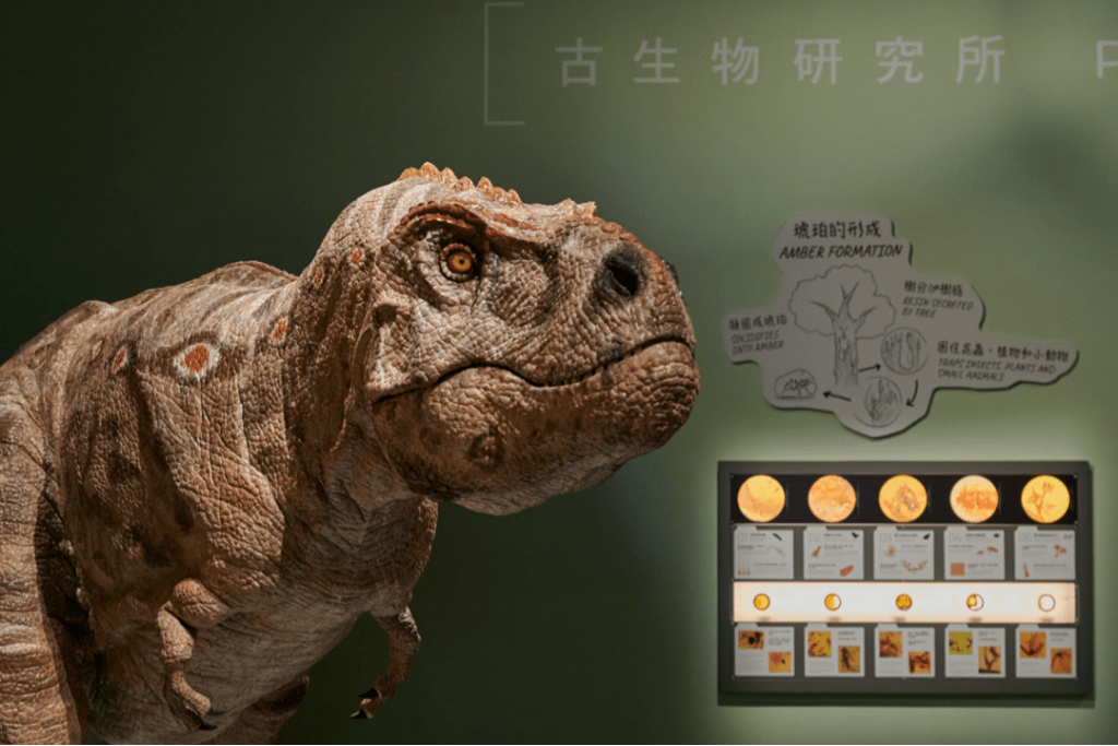 机械暴龙保罗(图片来源:香港科学馆) 机械暴龙保罗(图片来源:香港科学馆)