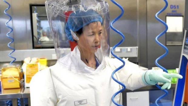 “蝙蝠女侠”石正丽加盟钟南山广州实验室 “蝙蝠女侠”石正丽加盟钟南山广州实验室