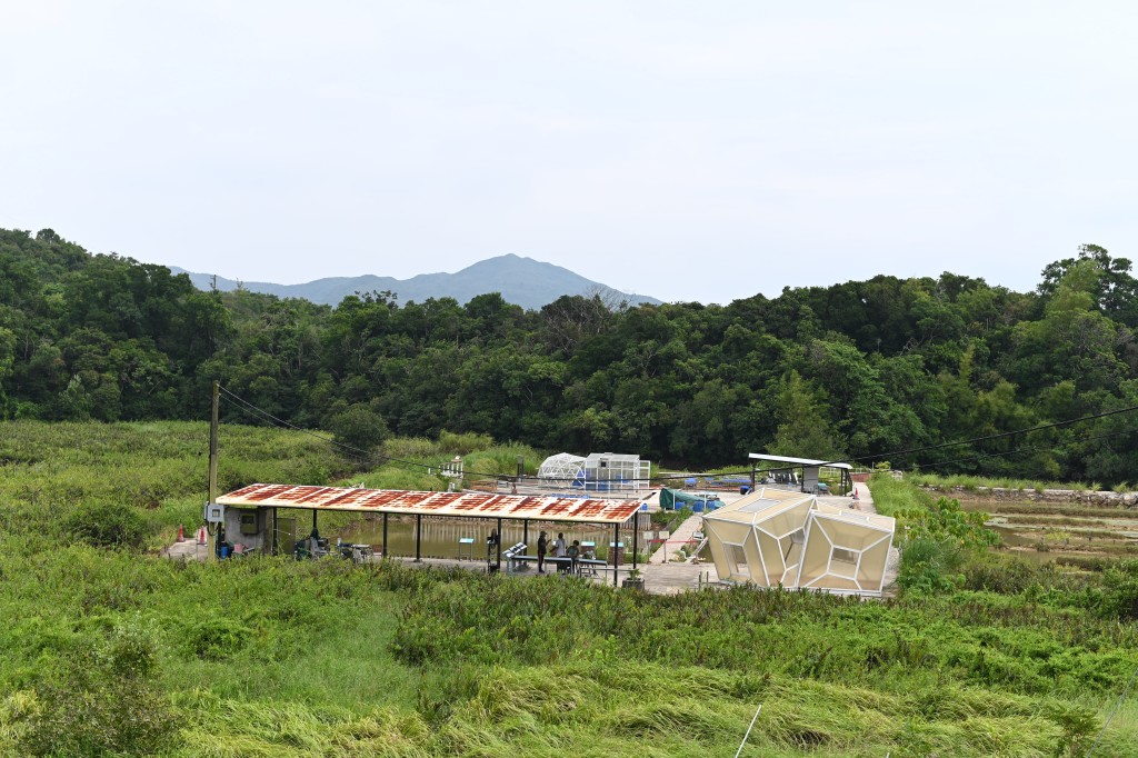 盐田梓 盐田梓