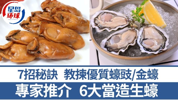 专家讲解6大当造生蚝 专家讲解6大当造生蚝