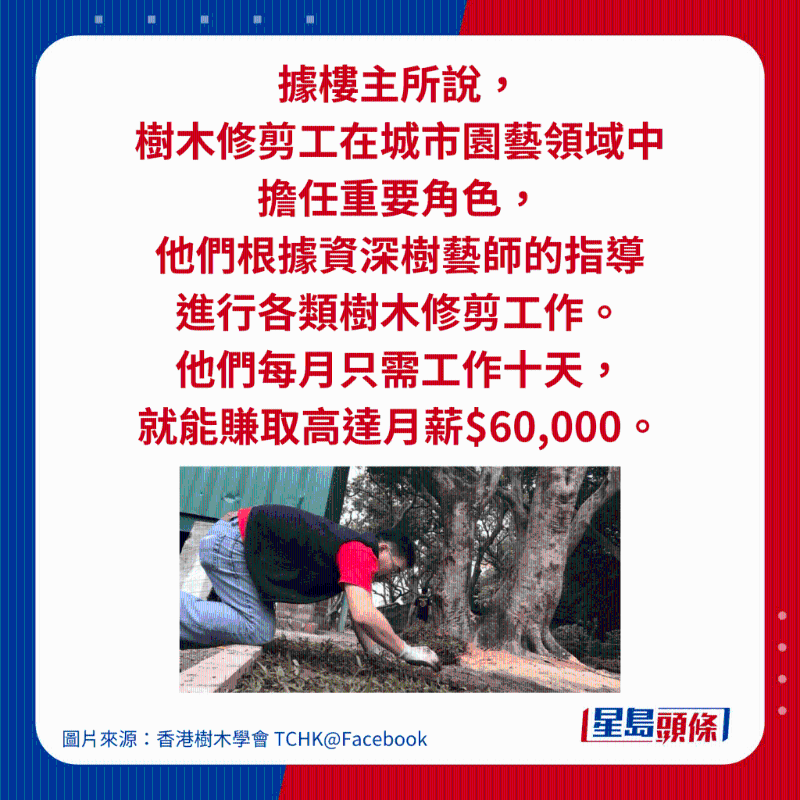 据楼主所说, 树木修剪工在城市园艺领域中 担任重要角色, 他们根据资深树艺师的指导 进行各类树木修剪工作。 他们每月只需工作十天, 就能赚取高达月薪$60,000。 据楼主所说, 树木修剪工在城市园艺领域中 担任重要角色, 他们根据资深树艺师的指导 进行各类树木修剪工作。 他们每月只需工作十天, 就能赚取高达月薪$60,000。