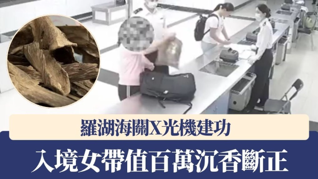 女旅客经罗湖海关入境内地时,被发现携有1.1公斤的沉香。 女旅客经罗湖海关入境内地时,被发现携有1.1公斤的沉香。