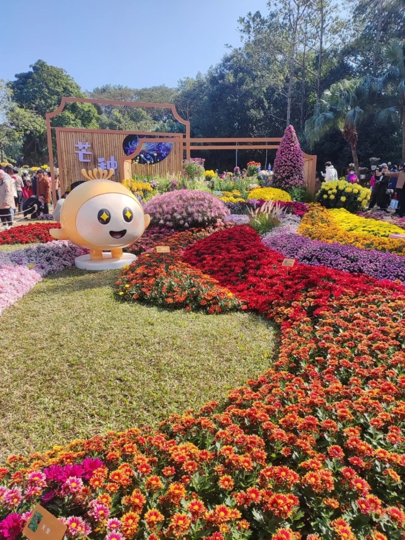 东湖公园菊花展 东湖公园菊花展