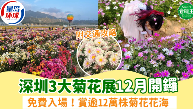 菊花展 菊花展