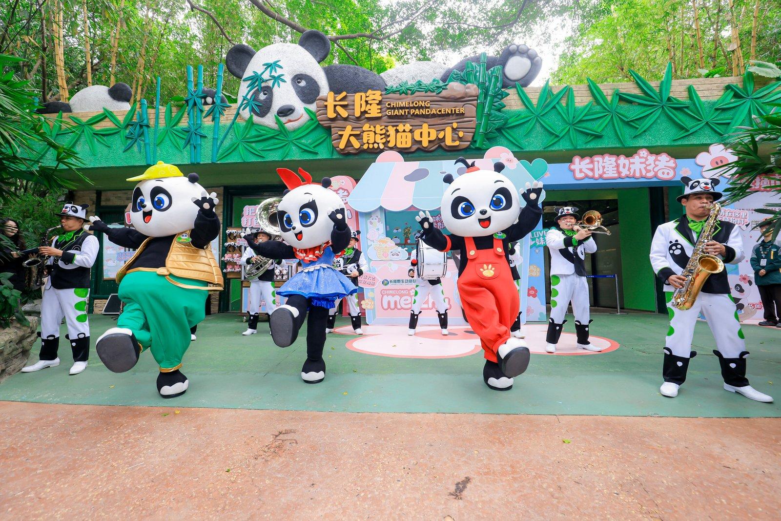 云上岭南| 萌力十足！广府大熊猫“妹猪”迎半岁宴
