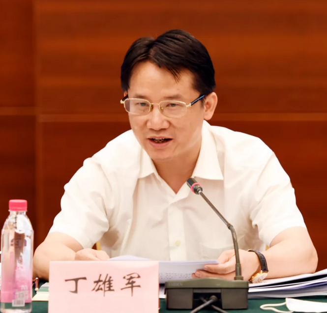 丁雄军 丁雄军