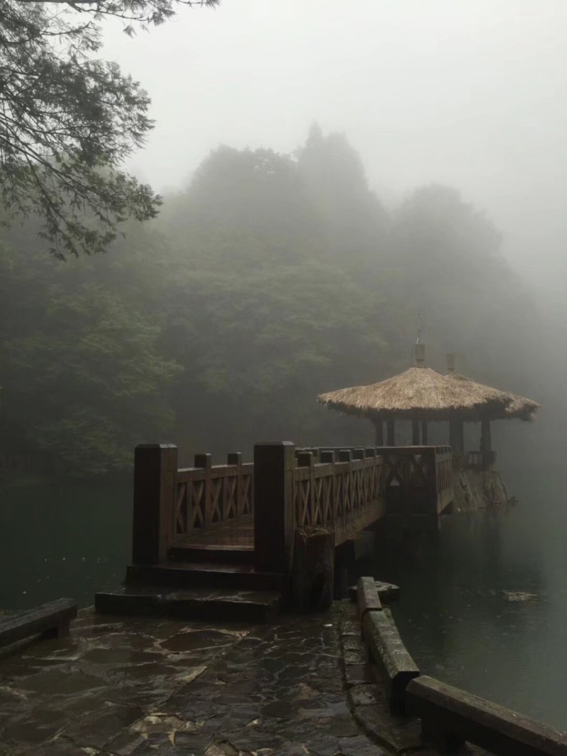 台湾阿里山深具神秘和自然气息。(微博) 台湾阿里山深具神秘和自然气息。(微博)