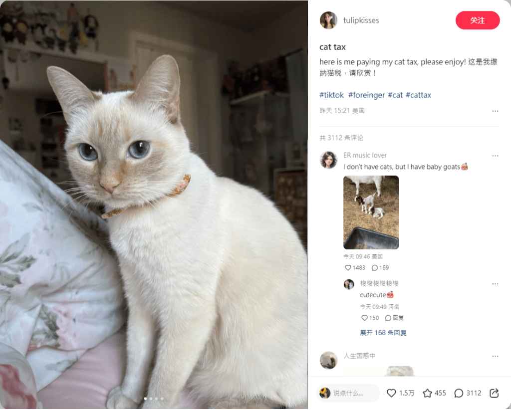 网民风趣地称为“Pay Cattax(交猫税)”。 网民风趣地称为“Pay Cattax(交猫税)”。