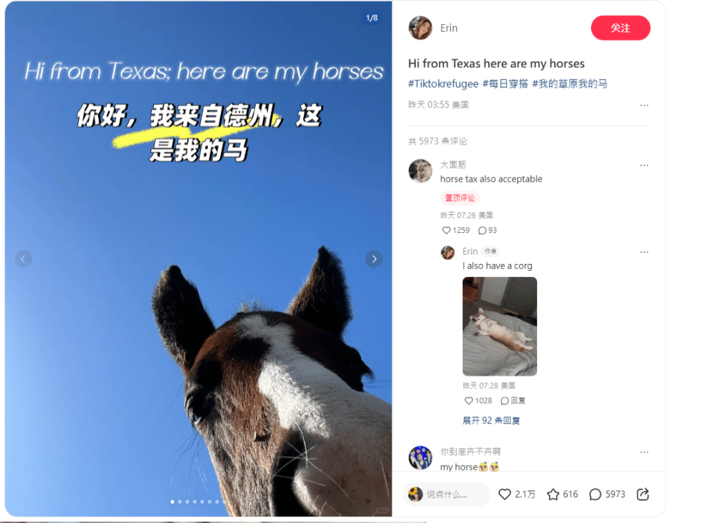 更有两地网民分享可爱的小马、小羊或者小仓鼠等等。 更有两地网民分享可爱的小马、小羊或者小仓鼠等等。