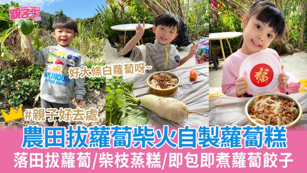 落田拔萝卜用柴火蒸萝卜糕 落田拔萝卜用柴火蒸萝卜糕
