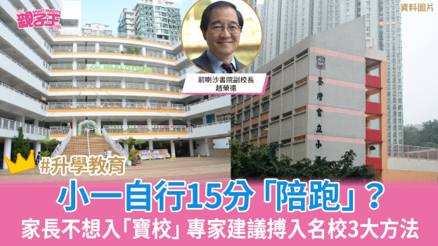 专家 专家