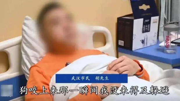 胡先生被爱犬咬至脸部重创需要留医。