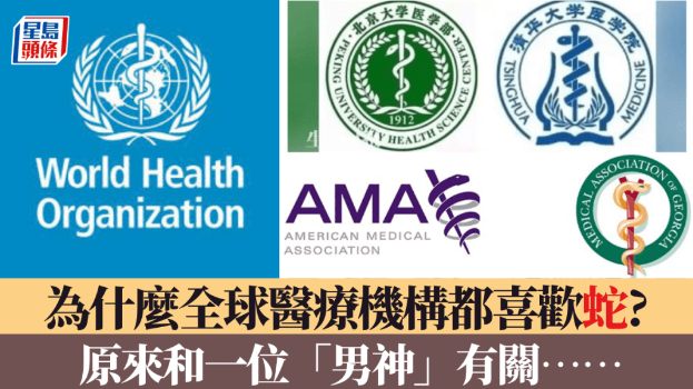 蛇标志 蛇标志