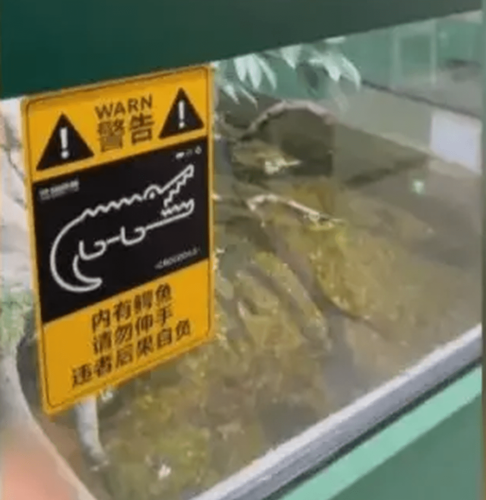 安全提示牌 安全提示牌