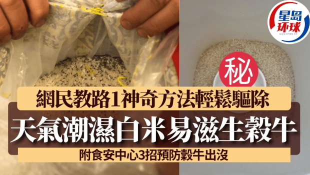 谷类食物 谷类食物