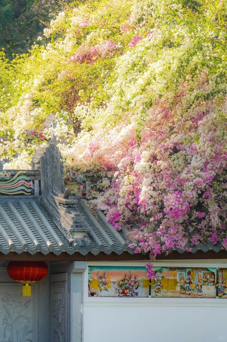深圳国际园林花卉博览园