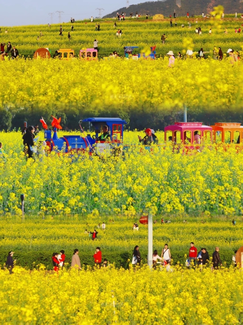光明欢乐田园