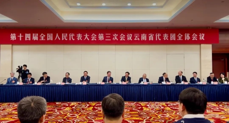 全体会议